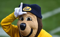 Where To Bet On University of California