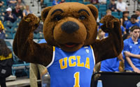 Where To Bet On UCLA